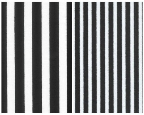 100 cotton poplin black - cotton,